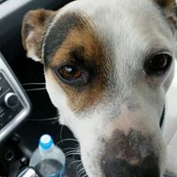 Donny Cross Photo 17