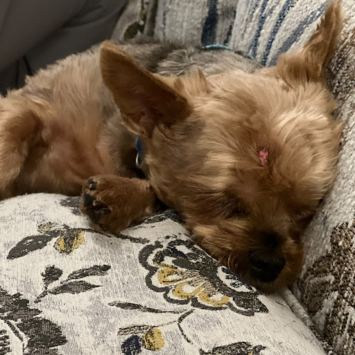 Kimberly Stacy Photo 15