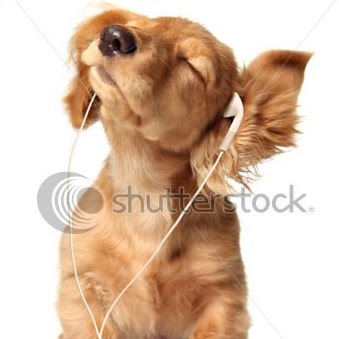 Christine Roche Photo 22 Christine Roche Photo 22