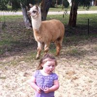 Tracy Hooper Photo 9