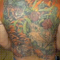 Terry Sorensen Photo 36