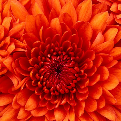 Debbie Ruiz Photo 17