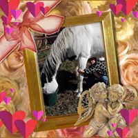 Judy Bruns Photo 8