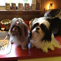 Jennifer Holden Photo 8