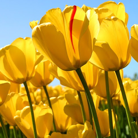 Mihaly Szabo Photo 6