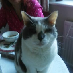 Ruth Hopkins Photo 39