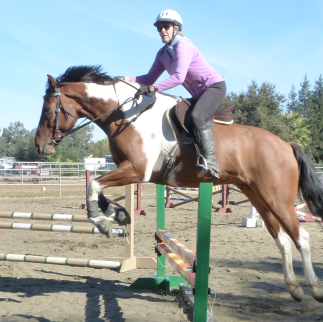 Linda Howe Photo 7
