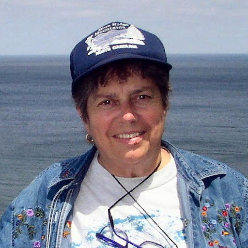 Shirley Curtis Photo 16
