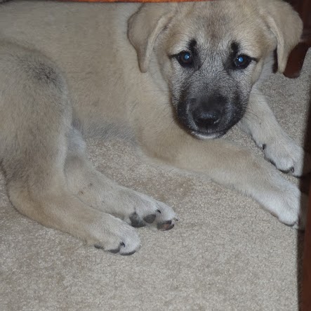 Linda Armstrong Photo 43 Linda Armstrong Photo 43