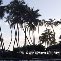 Deborah Pickett Photo 30