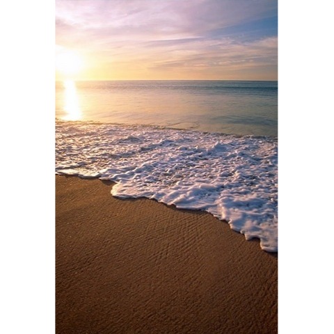 Clarence Carter Photo 23 Clarence Carter Photo 23