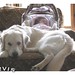 Suzanne Wyatt Photo 14