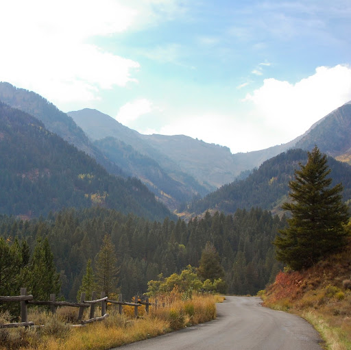 Robyn Christensen Photo 6