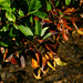 Linda Bush Photo 30