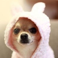 Lynda Hartman Photo 18