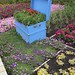 Jean Cavanaugh Photo 41