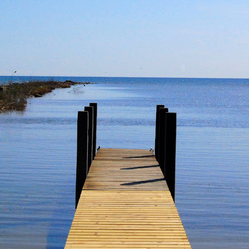 Shawn Everly Photo 8