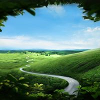 Michael Baggett Photo 13