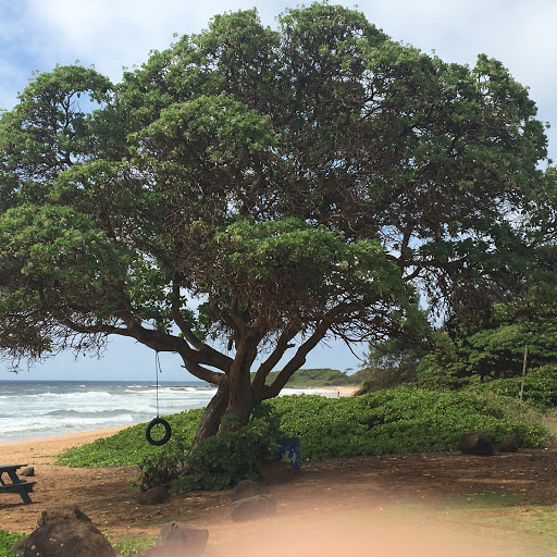 Scott Cooper Photo 58