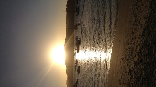 Catherine Mcgrath Photo 8