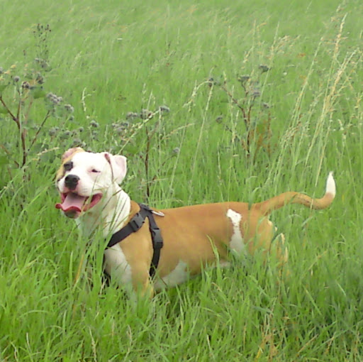 Michele Hartmann Photo 4