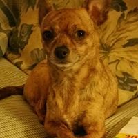 Debbie Hutson Photo 23