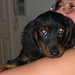 Kathy Reese Photo 6