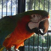 Robert Whitley Photo 39