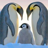 Dawn Potts Photo 39