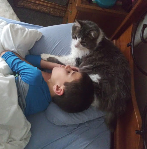 Tracy Hoffman Photo 9