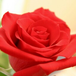 Karen Shepherd Photo 29