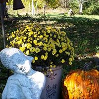 Janice Peterson Photo 6