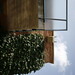Mary Cowan Photo 38