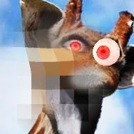 Jordan Webster Photo 21