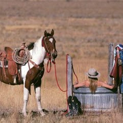 Cheryl Templeton Photo 17