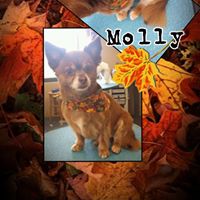 Deanna Mathews Photo 6