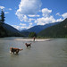 Lisa Baxter Photo 16