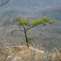 Mark Noll Photo 35 Mark Noll Photo 35