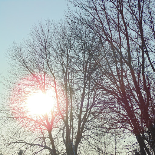 Claude Tremblay Photo 8 Claude Tremblay Photo 8