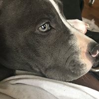 Eric Webb Photo 21 Eric Webb Photo 21