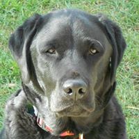 Tracie Mcelroy Photo 21