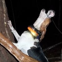 Marcus Burroughs Photo 11