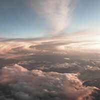 David Mcdevitt Photo 35