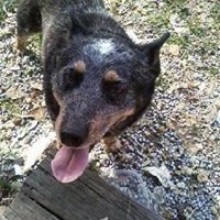 Katherine Williamson Photo 27