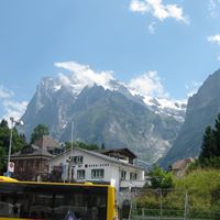 Annabel Cohen Photo 22