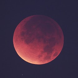 Laurie Weber Photo 16