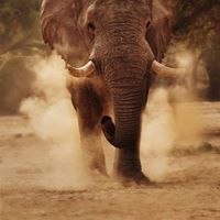 Julie Churchill Photo 24