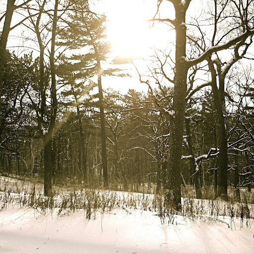 Chris Hoag Photo 17