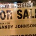 Sandy Johnson Photo 41