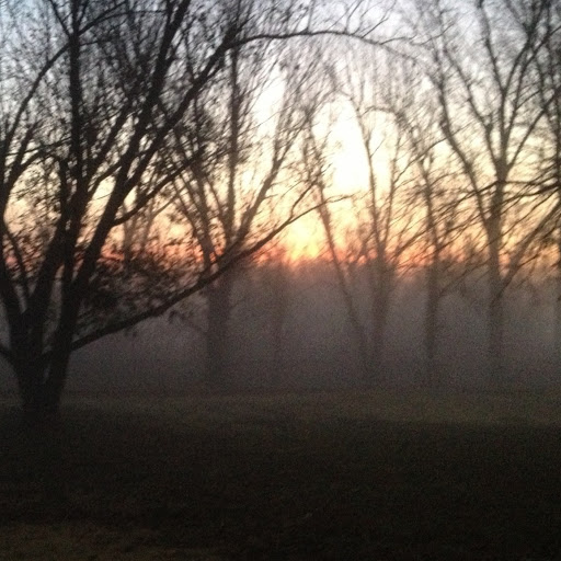 Richard Johns Photo 50